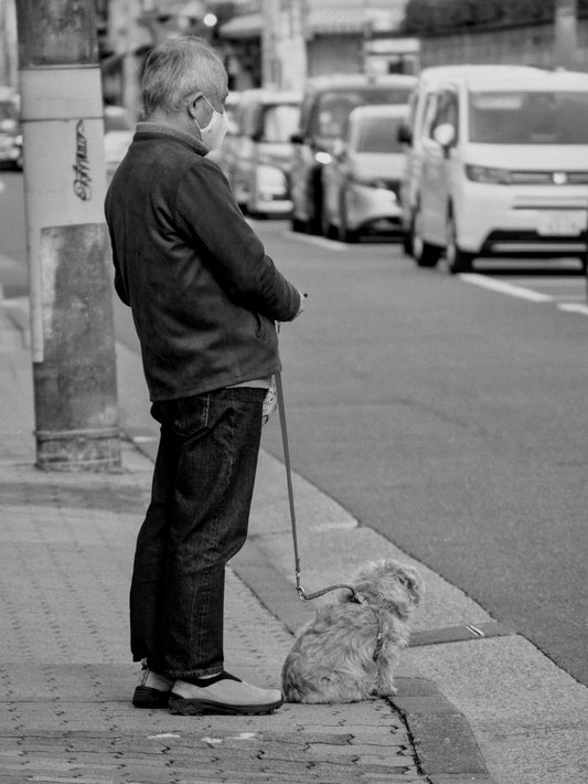 A man and his dog wait at the curb.