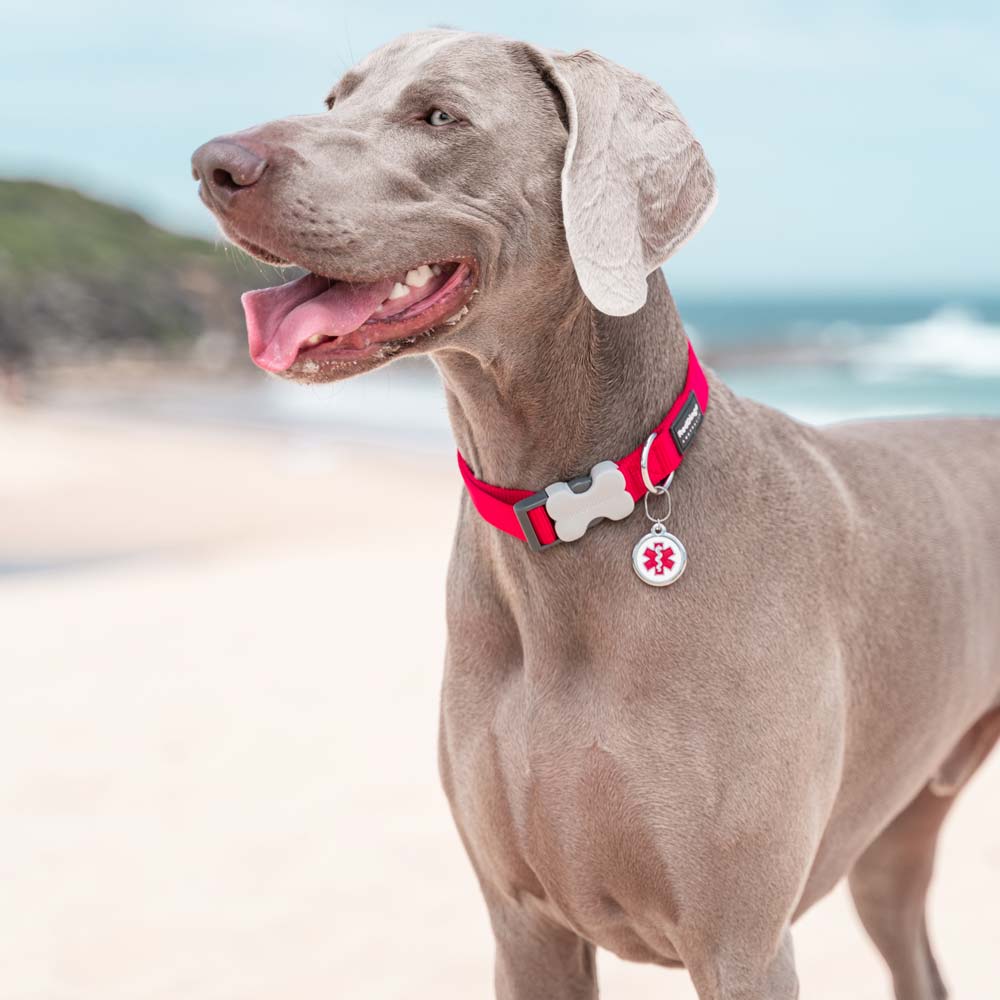 Pet ID Tags Medical