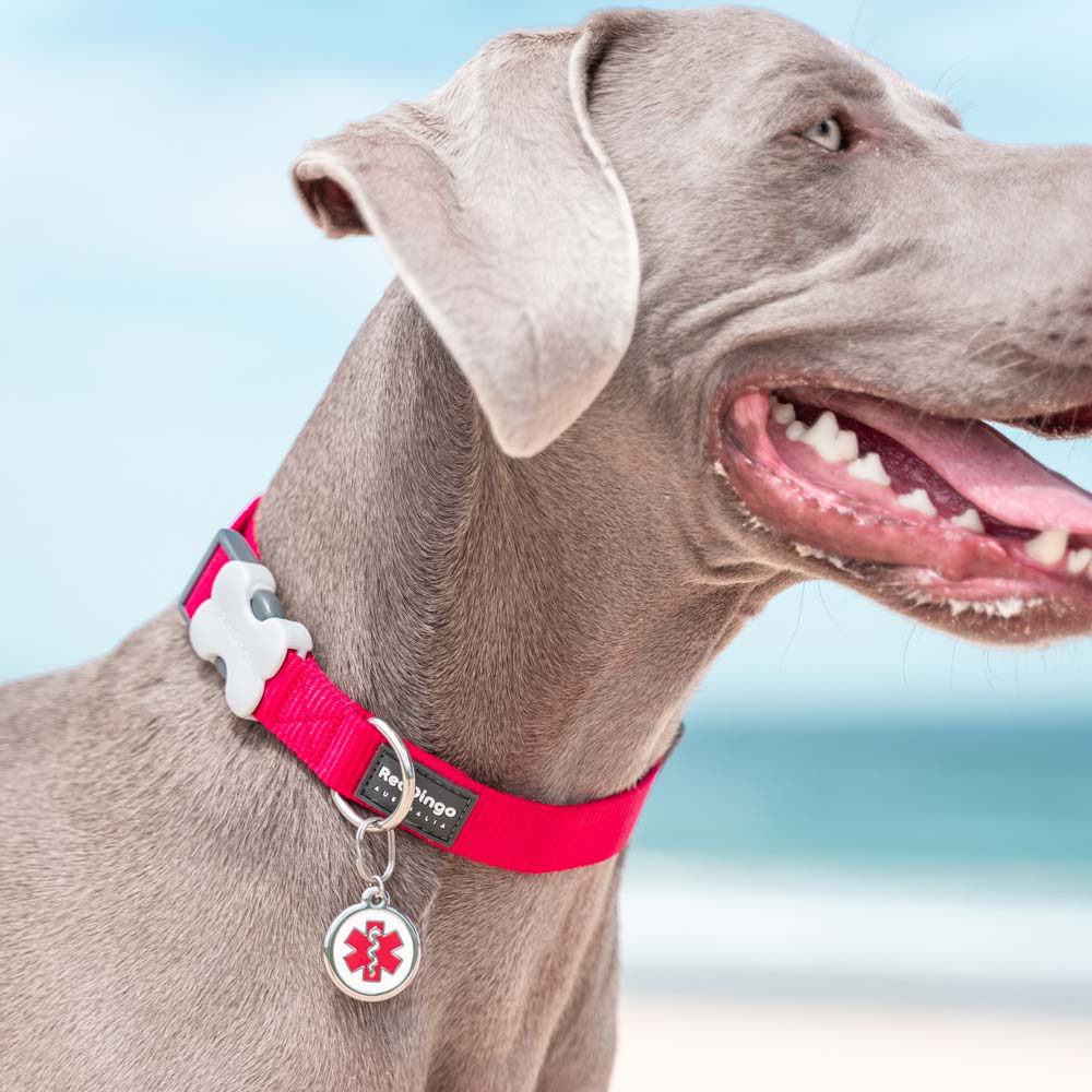 Pet ID Tags Medical