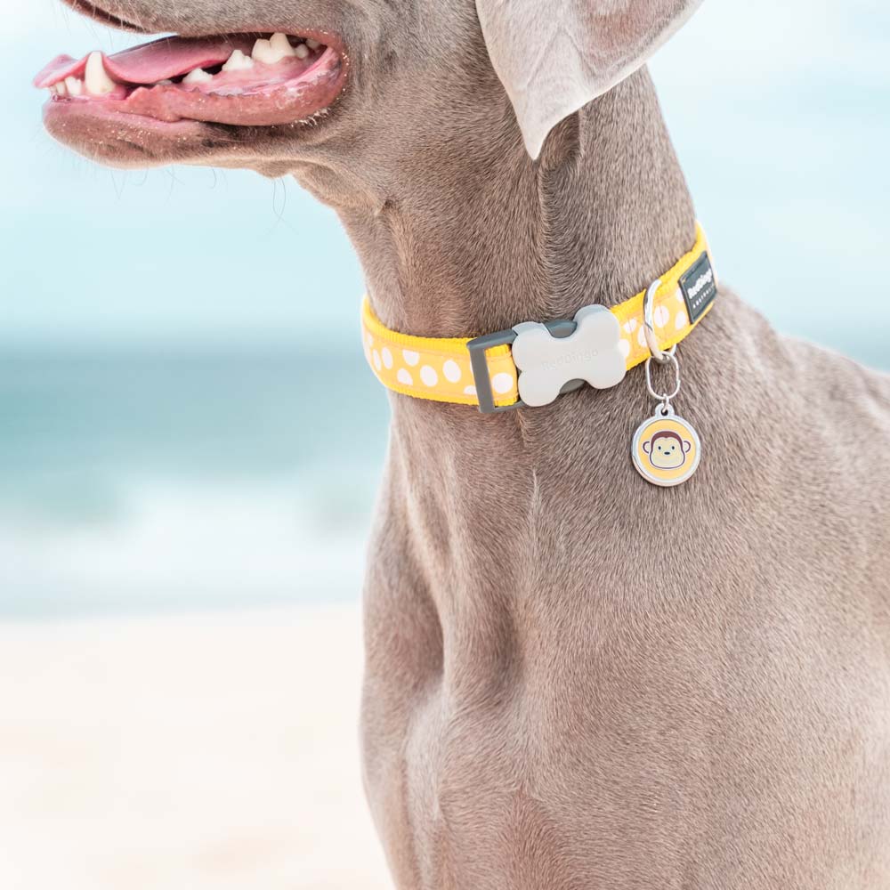 Pet ID Tags Monkey