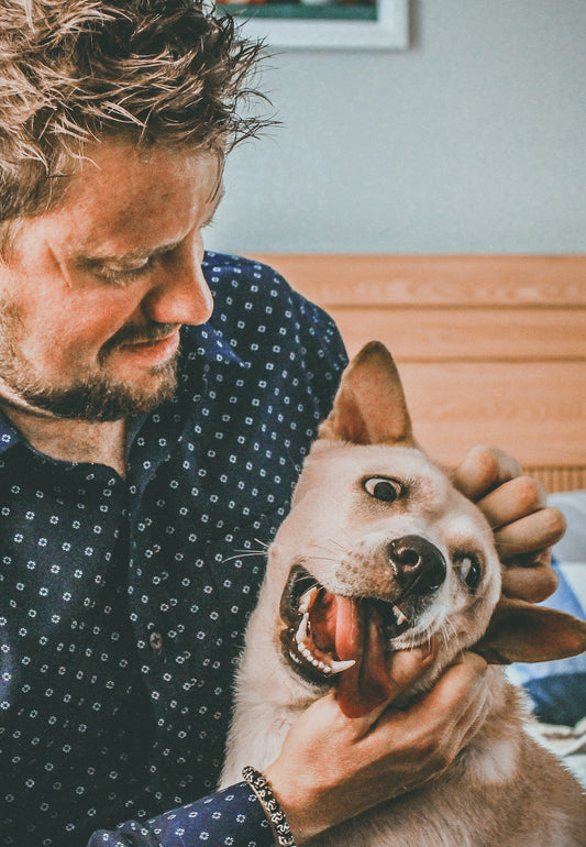 man petting short-coated brown dog in room close-up photography