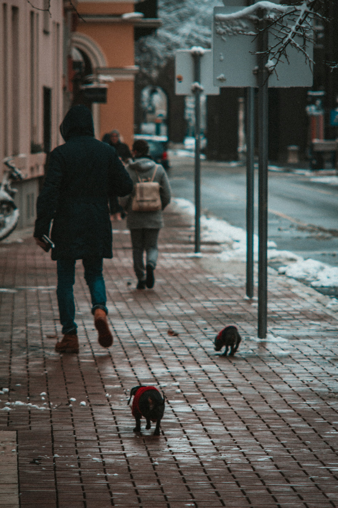 a man walking down a sidewalk with three dogs