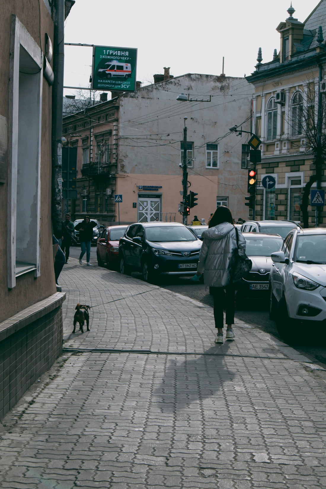 a person walking a dog on a sidewalk