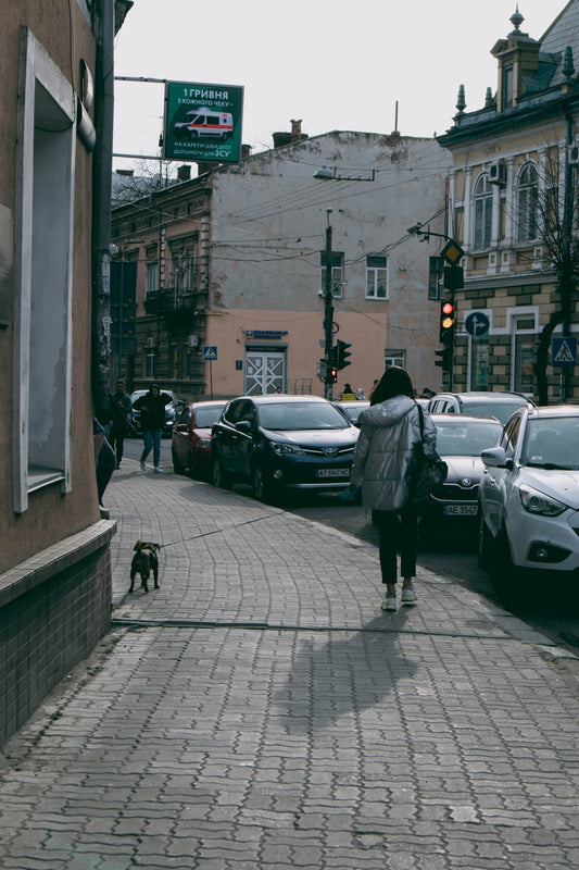 a person walking a dog on a sidewalk