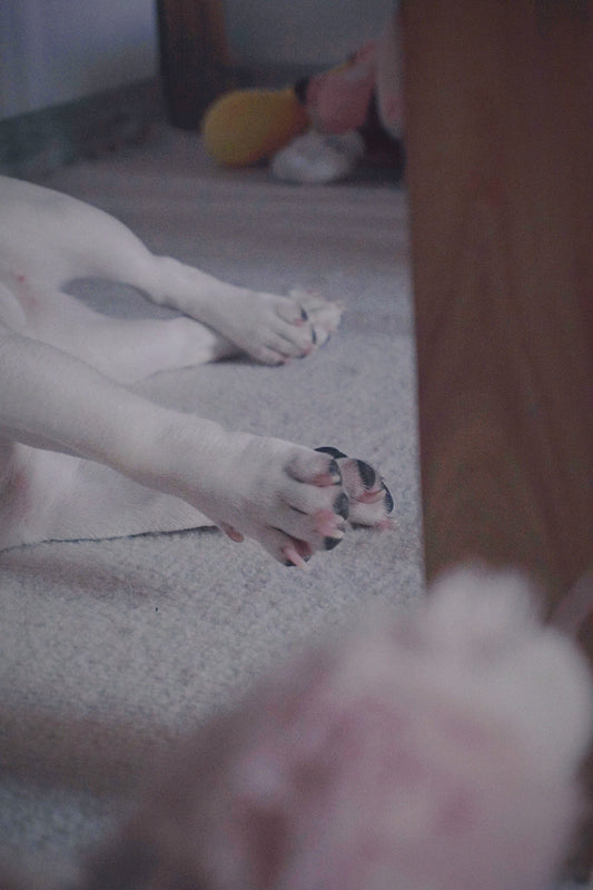 a person's feet on a blanket