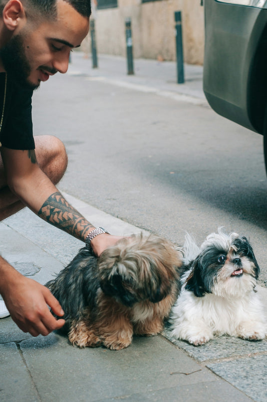 A man petting a small dog on the street