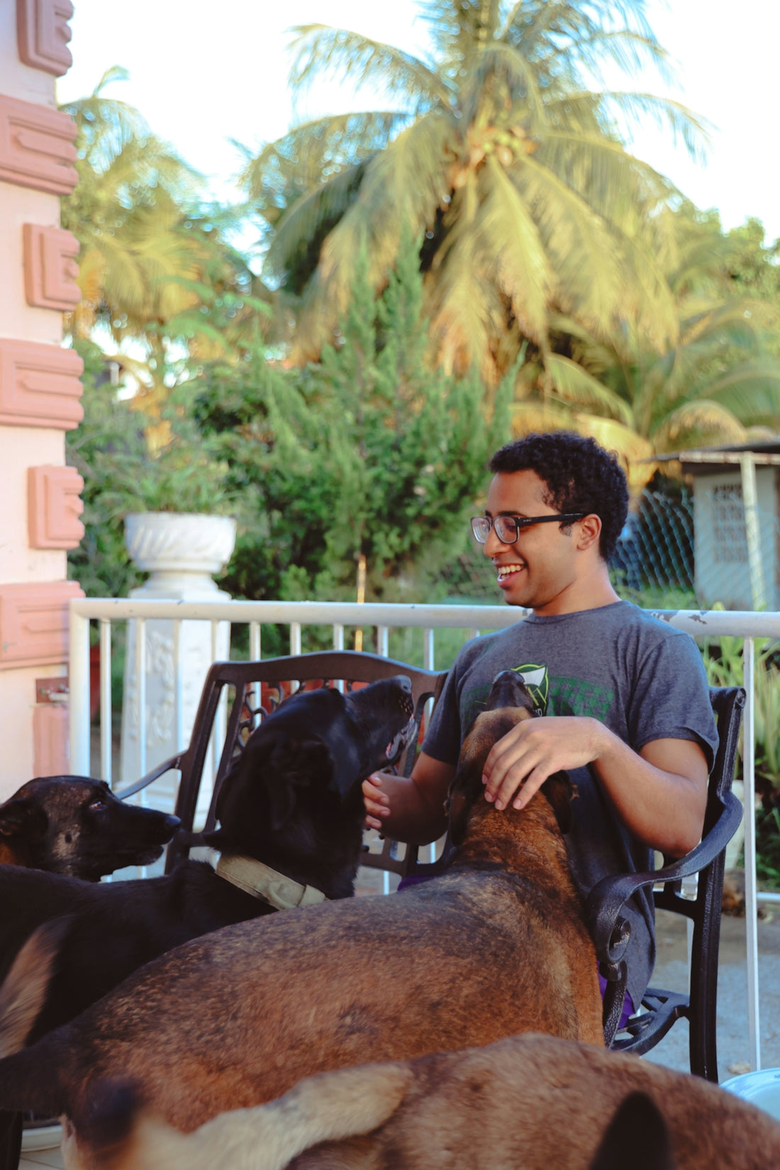 A man sitting in a chair with two dogs