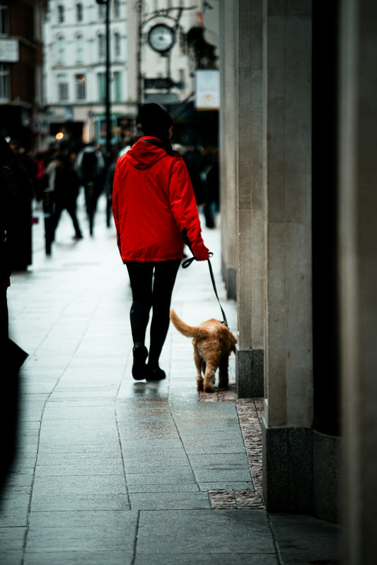 Woman in red jacket walks dog on city street